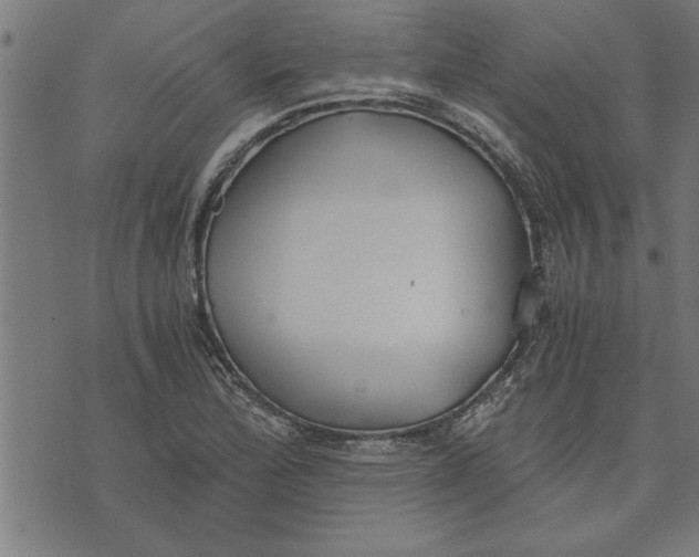 X0000073491172200608211642