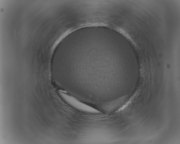 X0000073491173200608211642