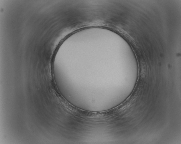 X0000073491174200608211642