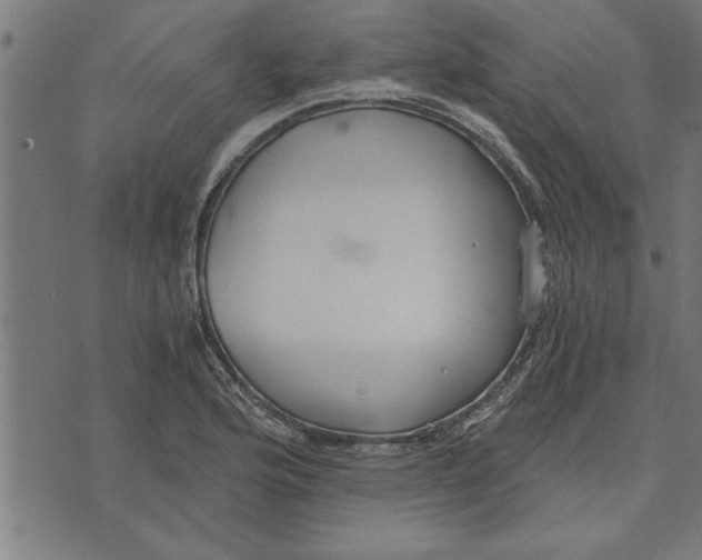 X0000073491176200608211642