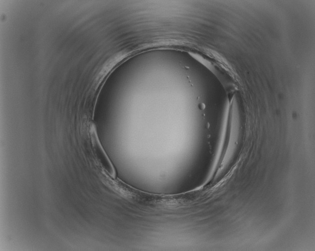 X0000073491177200608211642