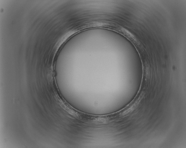 X0000073491178200608211642