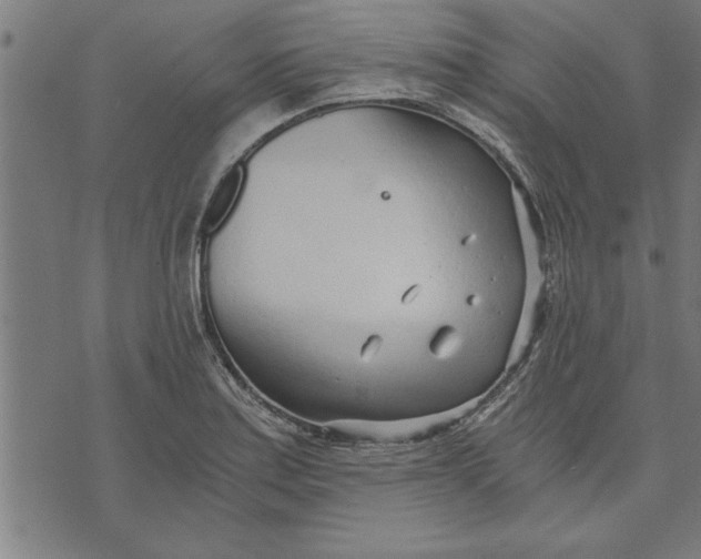 X0000073491179200608211642