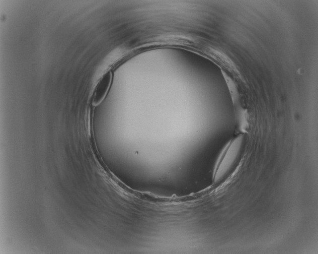 X0000073491180200608211642