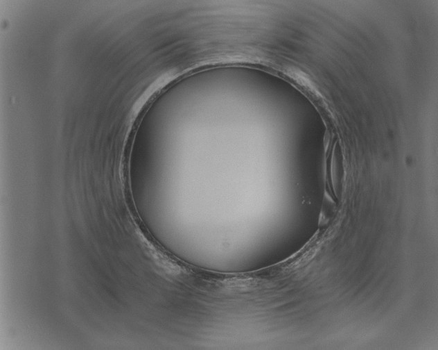 X0000073491181200608211642