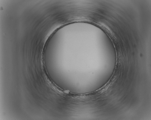 X0000073491182200608211642