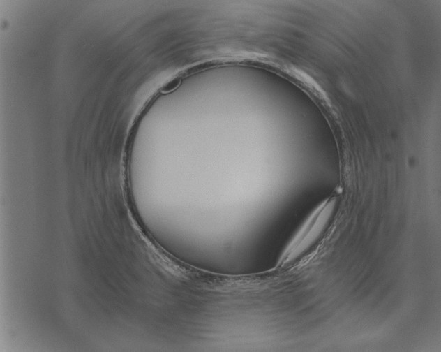 X0000073491183200608211642