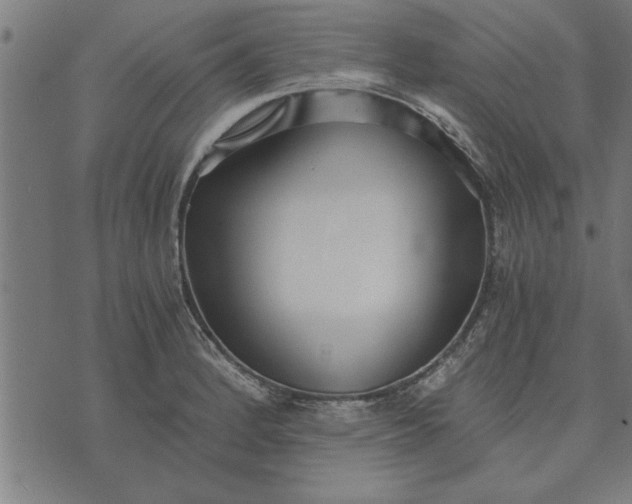 X0000073491184200608211642