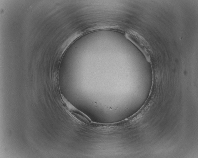 X0000073491185200608211642