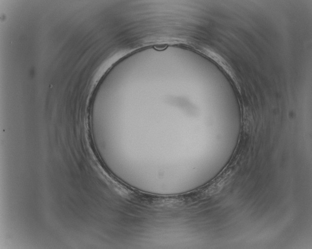 X0000073491187200608211642