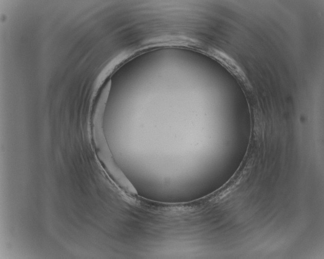 X0000073491188200608211642