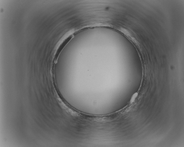 X0000073491189200608211642