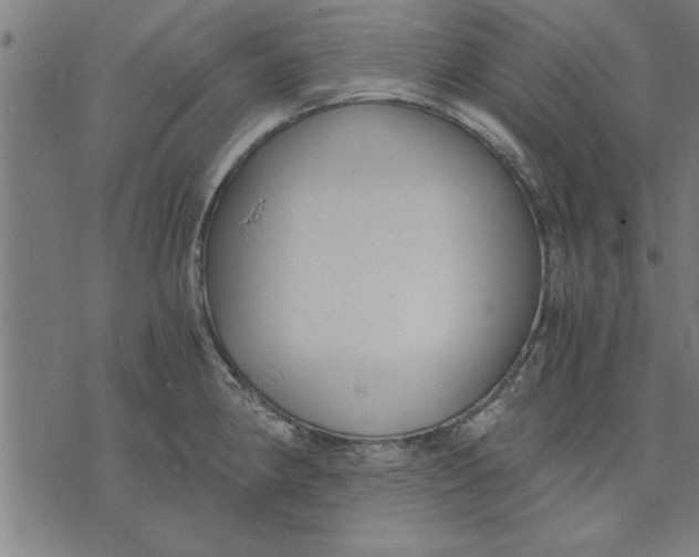 X0000073491190200608211642