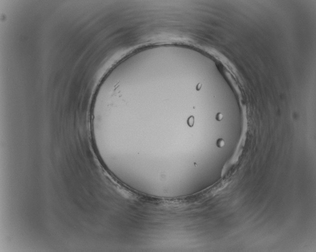 X0000073491191200608211642