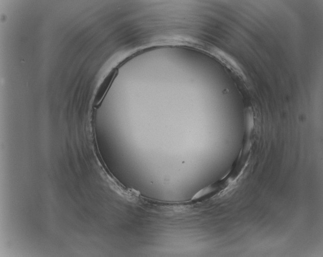 X0000073491192200608211642