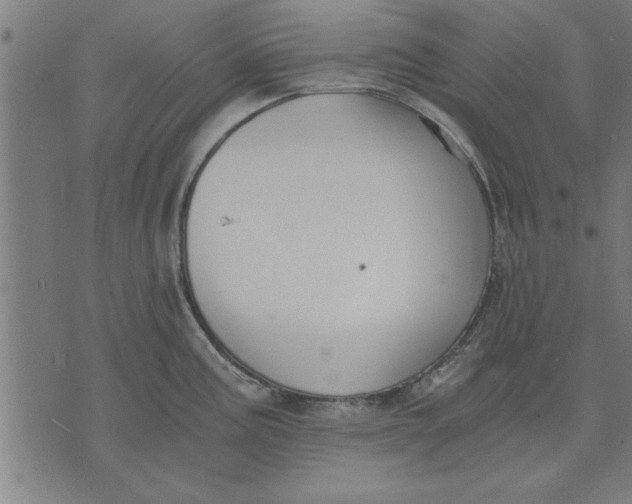 X0000073491195200608211642