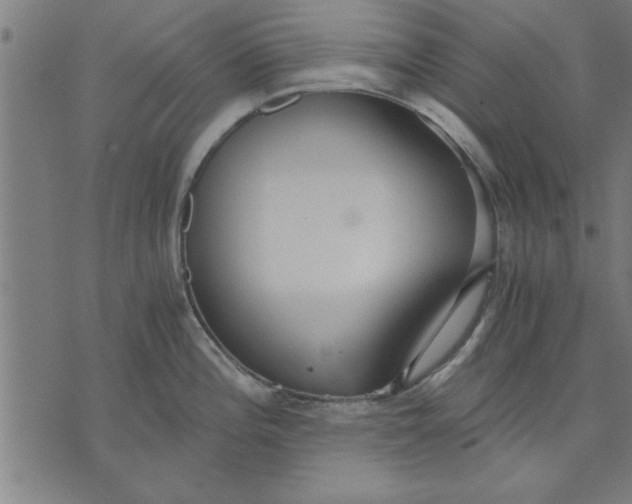 X0000073491196200608211642