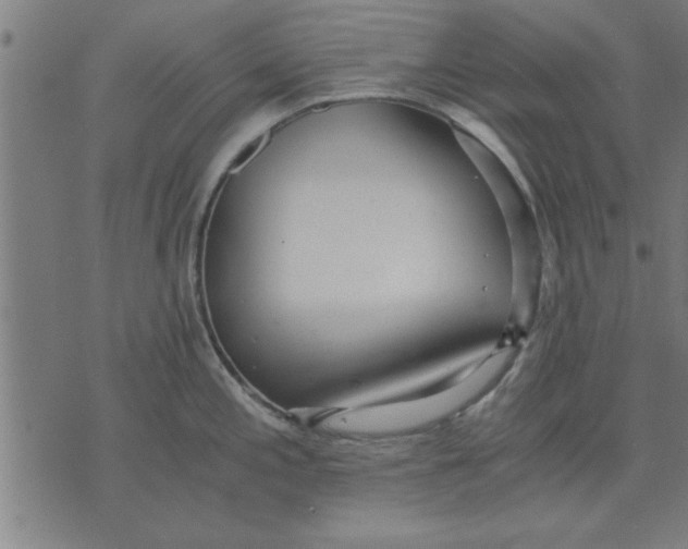 X0000073491197200608211642