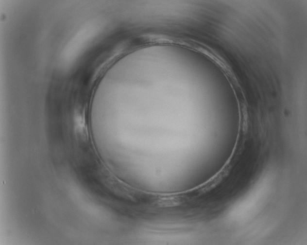 X0000073491198200608211642