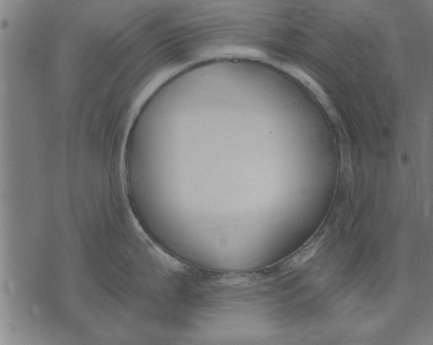 X0000073491199200608211642