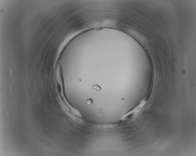 X0000073491200200608211642