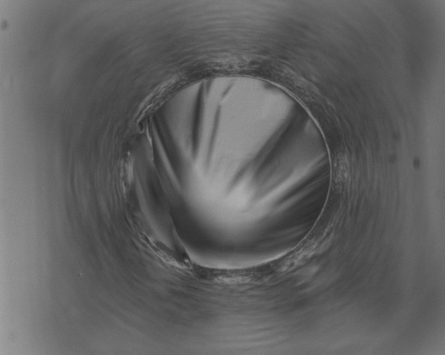 X0000073491202200608211641