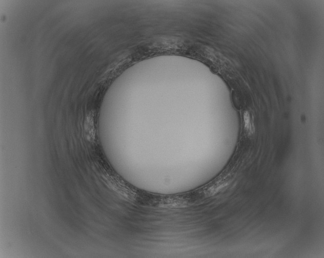 X0000073491203200608211641