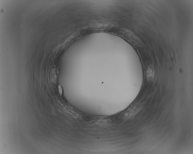 X0000073491204200608211641