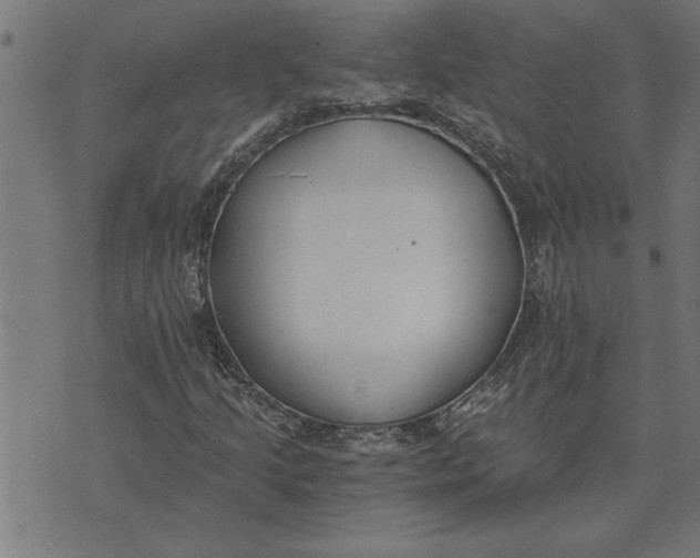 X0000073491205200608211641