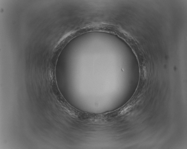 X0000073491206200608211641