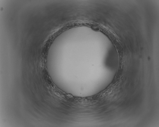 X0000073491207200608211641