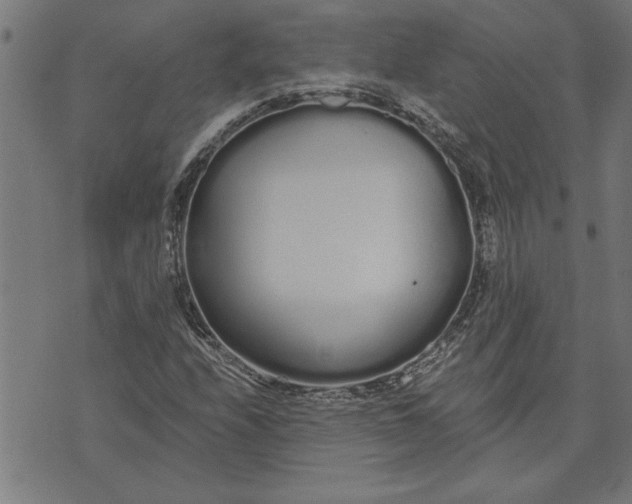 X0000073491208200608211641