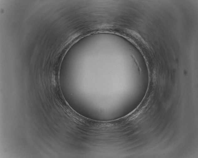 X0000073491209200608211641