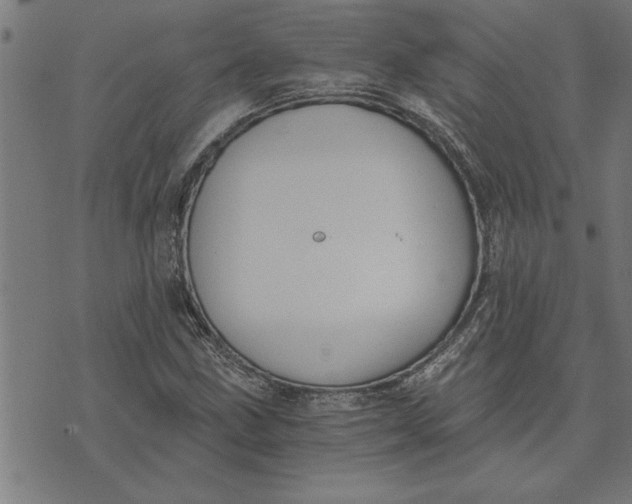 X0000073491211200608211641