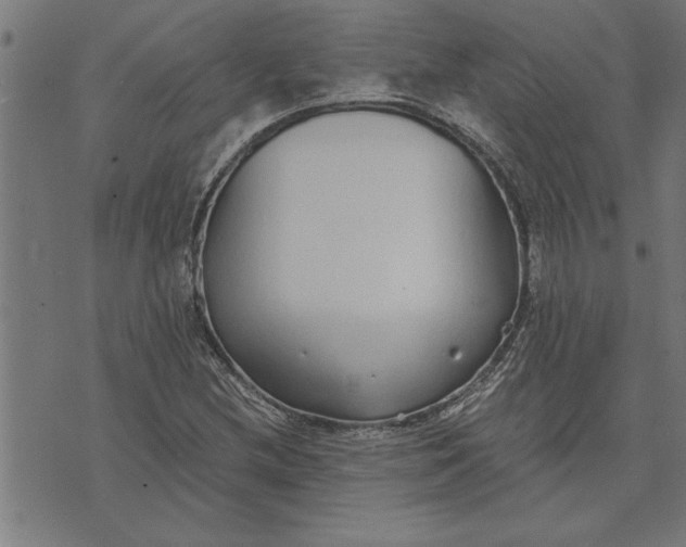 X0000073491212200608211641