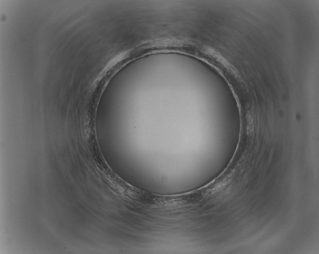 X0000073491213200608211641