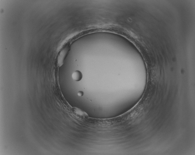 X0000073491214200608211641