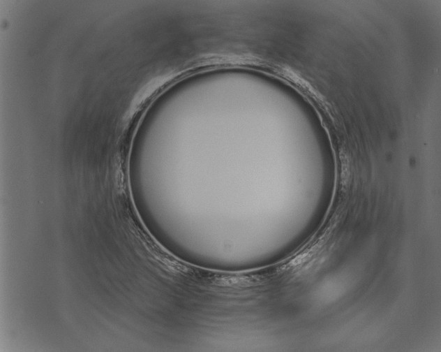 X0000073491215200608211641