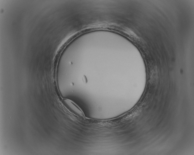 X0000073491216200608211641