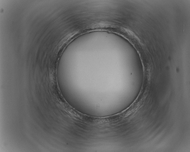 X0000073491217200608211641