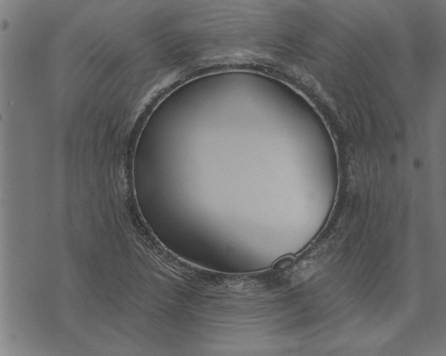 X0000073491218200608211641