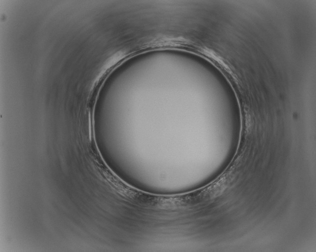 X0000073491219200608211641