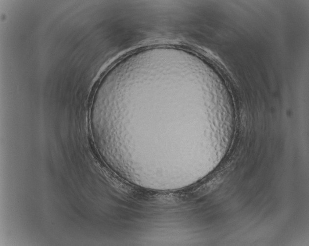 X0000073491220200608211641