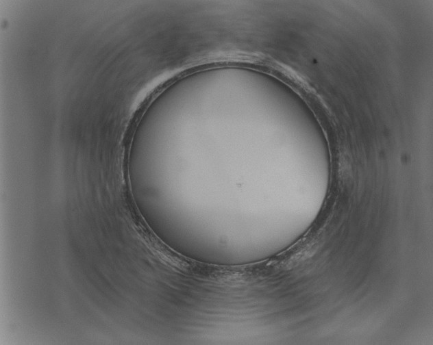 X0000073491222200608211641