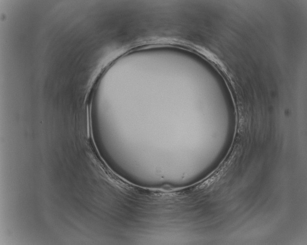 X0000073491223200608211641