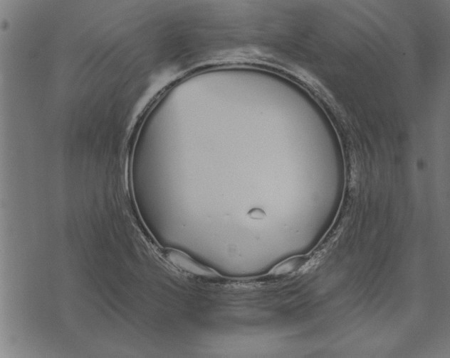 X0000073491224200608211641