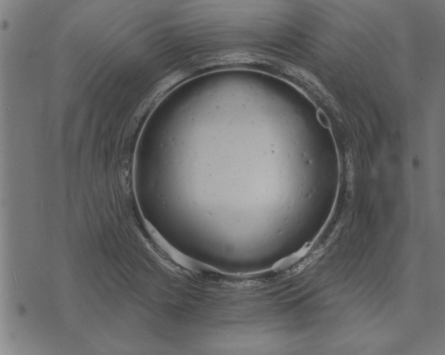 X0000073491225200608211641