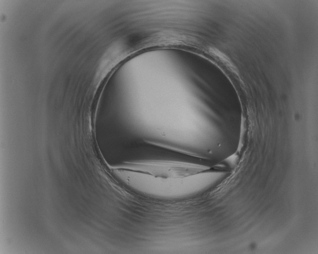 X0000073491226200608211641