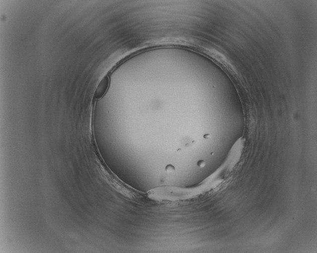 X0000073491228200608211641