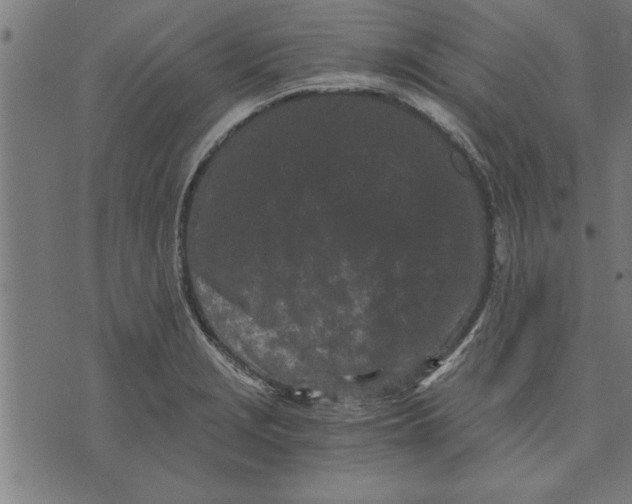 X0000073491229200608211642